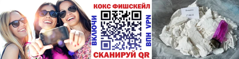 Купить закладки Высоцк Кокаин FishScale