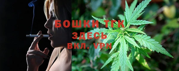 дурь Каменка