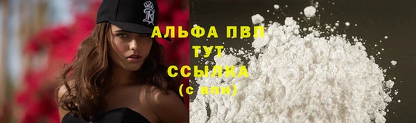 дурь Каменка