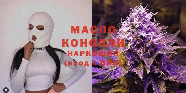 дурь Каменка