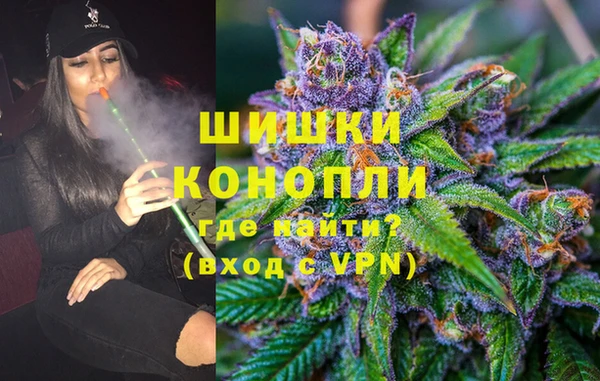 дурь Каменка