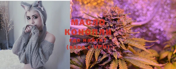 дурь Каменка